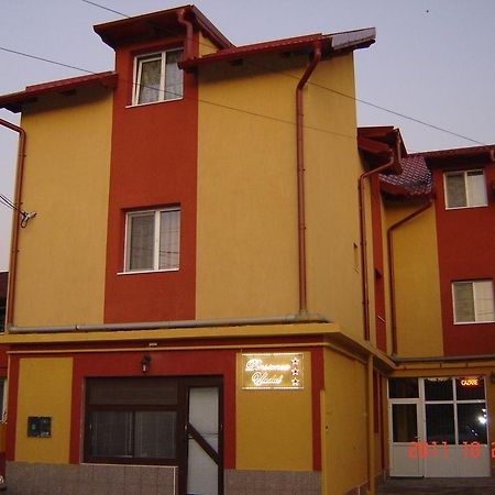 Pensiunea Vladut Timișoara Zewnętrze zdjęcie