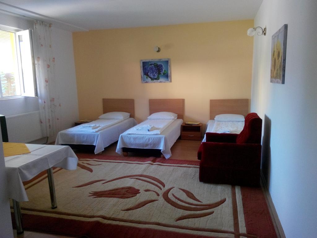 Pensiunea Vladut Timișoara Zewnętrze zdjęcie