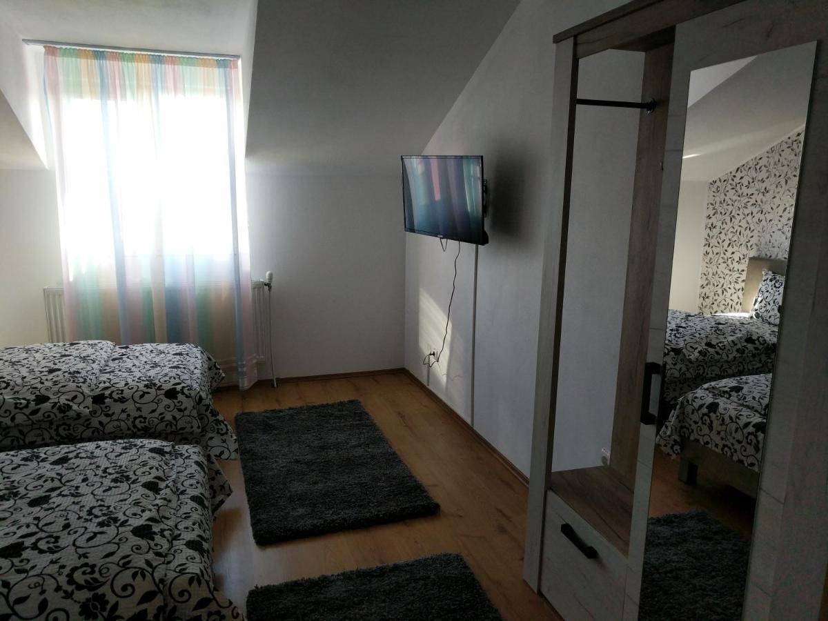Pensiunea Vladut Timișoara Zewnętrze zdjęcie